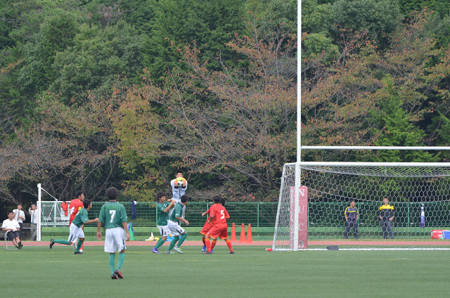 20161022A1_08.jpg